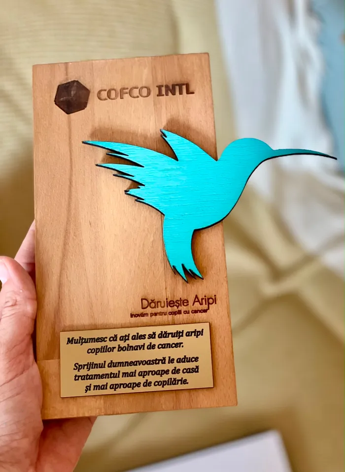 Trofeu cu colibri din acril turcoaz pentru o campanie caritabilă