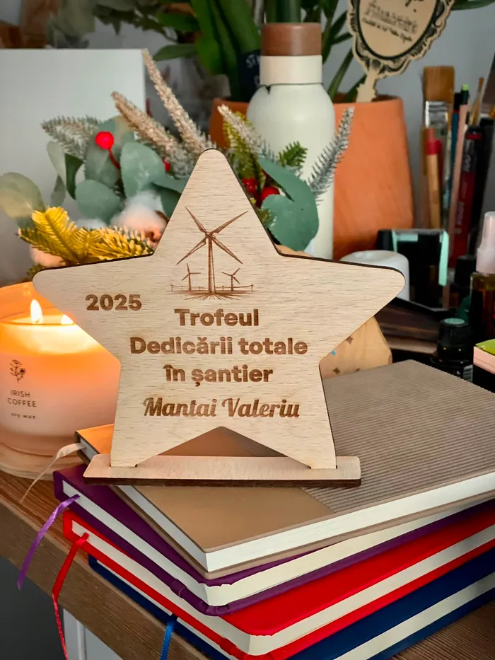Trofeul Dedicării totale în șantier, stea din lemn gravată